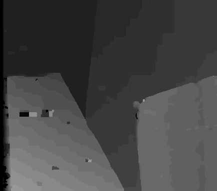 Venus disparity map
